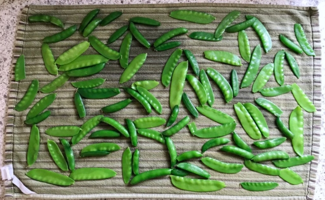 Alex Guarnaschelli The Home Cook cookbook healthy spring recipe for fresh and frozen pea salad