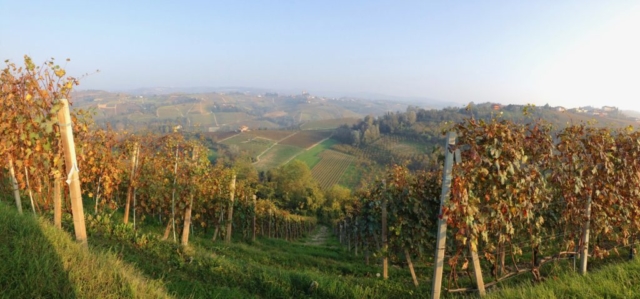 Barolo Alba Italy wine travel Scarpetta