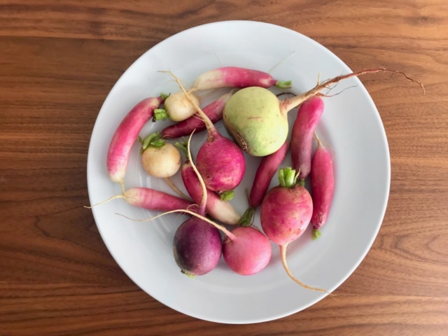 On Vegetables cookbook by Jeremy Fox recipe for homemade radishes, goat cheese, nori, and red wine mustard vinaigrette, picture of Easter egg, French breakfast, and watermelon radishes