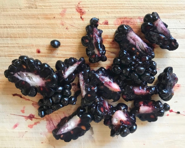 Gather and Graze cookbook Stephanie Izard recipe for smoked salmon toast with chile lime vinaigrette brunch breakfast with blackberry blackberries fennel mint arugula onion salad